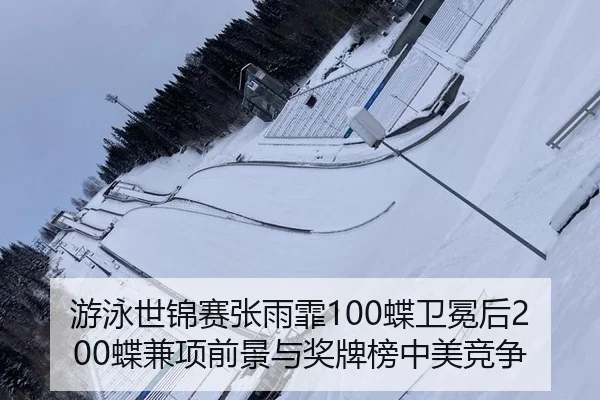 you-yong-shi-jin-sai-zhang-yu-fei-die-wei-mian-hou-die-jian-xiang-qian-jing-yu-jiang-pai-bang-zhong-mei-jing-zheng-2-231.jpg
