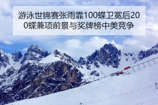 you-yong-shi-jin-sai-zhang-yu-fei-die-wei-mian-hou-die-jian-xiang-qian-jing-yu-jiang-pai-bang-zhong-mei-jing-zheng-1-667.jpg