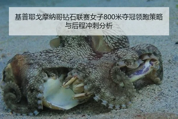 ji-pu-ye-ge-mo-na-ge-zuan-shi-lian-sai-nv-zi-mi-duo-guan-ling-pao-ce-lve-yu-hou-cheng-chong-ci-fen-xi-2-753.jpg